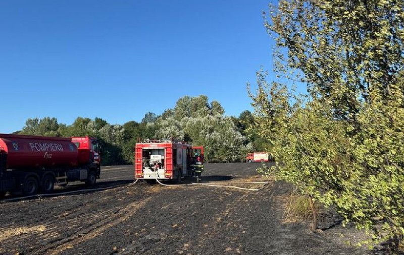 Incendiu puternic în Ilfov: ard două mașini, o casă și șapte hectare de vegetație uscată