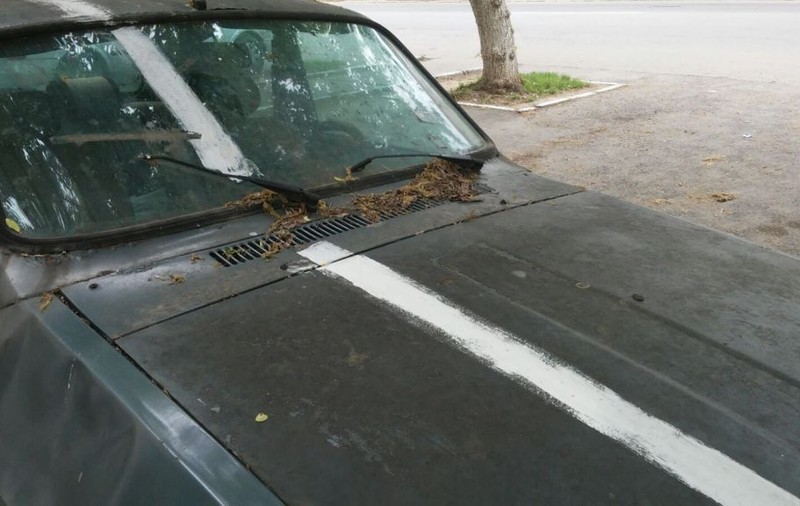 Cum și-a găsit mașina un șofer din Ploiești care a parcat pe trotuar