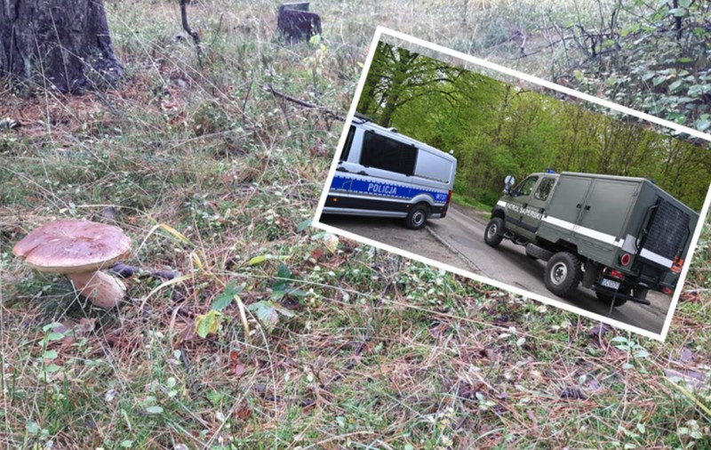 Un culegător de ciuperci a făcut o descoperire neașteptată și a sunat imediat la 112