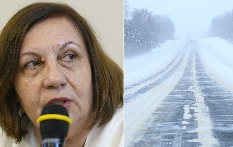 Elena Mateescu, director ANM, anunță ninsori, viscol și zăpadă de 30 de centimetri în mai multe zone