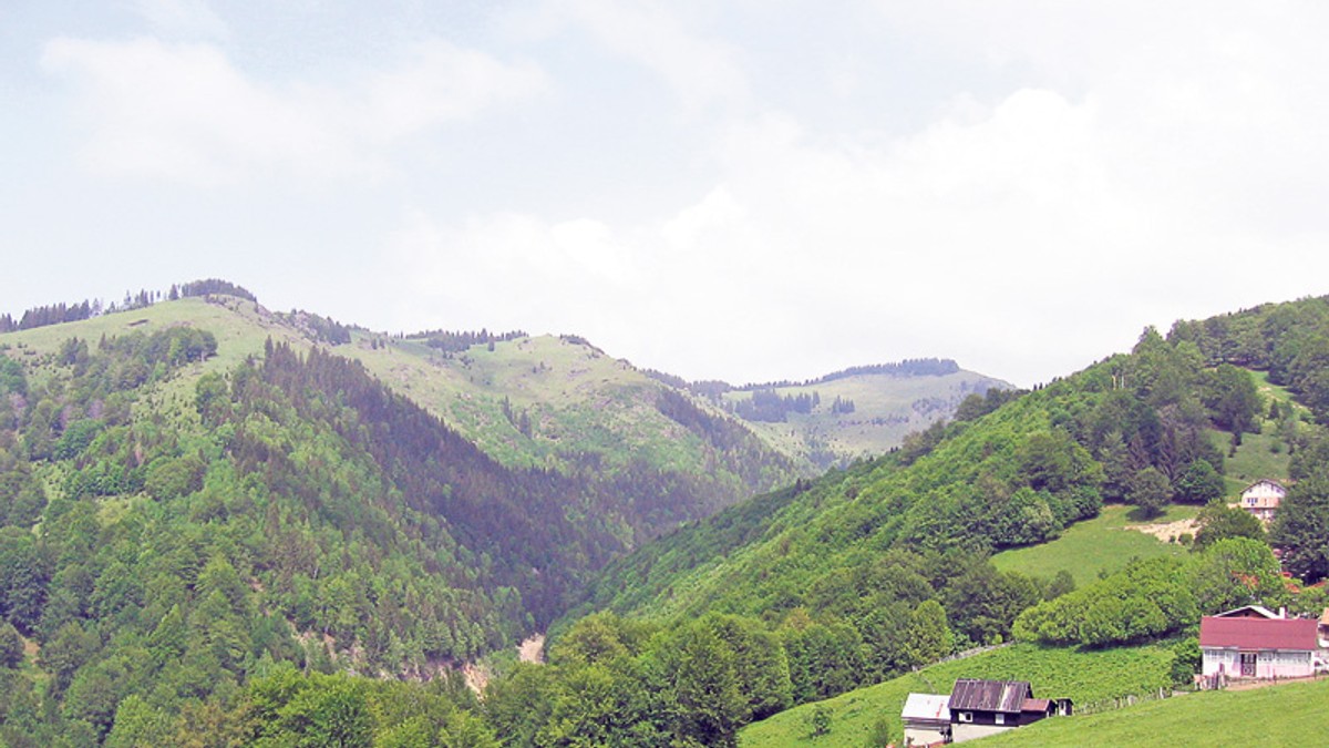 Arhiva foto