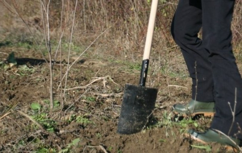Doi gorjeni s-au bătut pentru o bucată de pământ în localitatea Drăguțești, Gorj