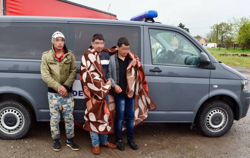 Migranți, prinși la granița cu Serbia. Treceau ilegal granița și cu un bebeluș
