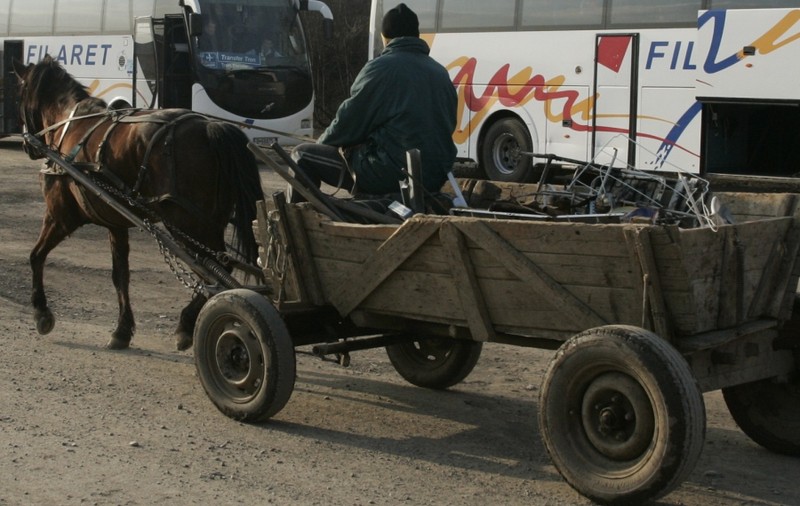 A căzut din căruță și l-au găsit aproape înghețat în șant