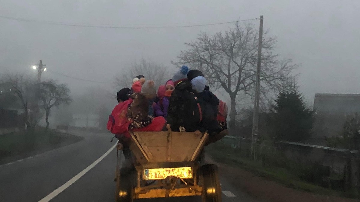 Copiii sunt duși la școală cu căruța într-o comună din Bacău! De ce nu pot beneficia de microbuzul școlar al localității