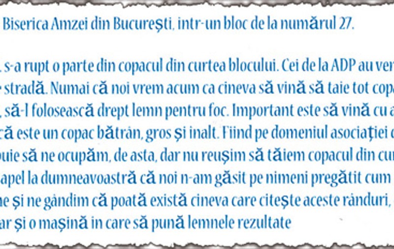 «Nu reuşim să tăiem copacul din curtea imobilului în care locuim»