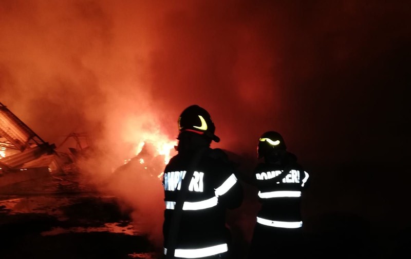 Incendiu devastator la un incinerator de animale din Tulcea
