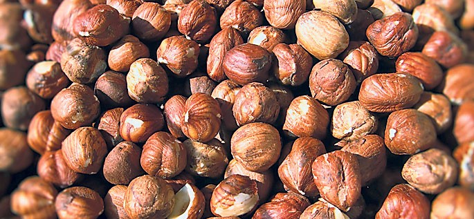 Arhiva foto