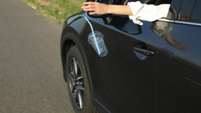 gunoaie aruncate din masina soferi