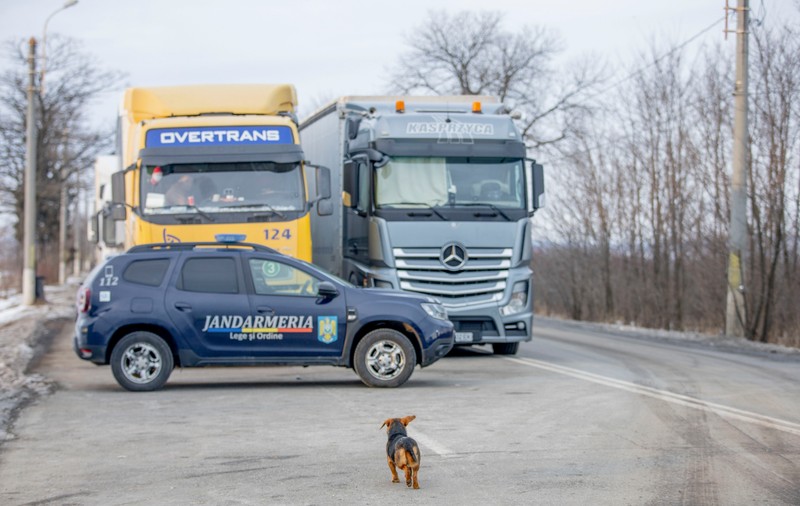 Traficul în Vama Siret a fost reluat. Camioanele din Ucraina aşteaptă până la două ore la graniţă