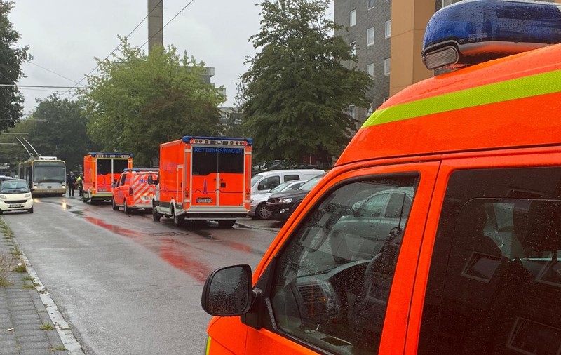 Caz șocant în Germania: o femeie și-a ucis cei cinci copii și apoi a încercat să se sinucidă