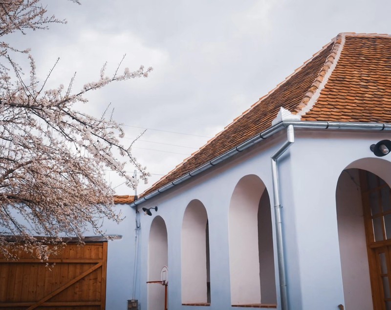 Noi imagini cu casa de la Viscri a Danei Rogoz. Cum a amenajat interiorul. „Duminică seara am ajuns. Renovarea continuă în curte”
