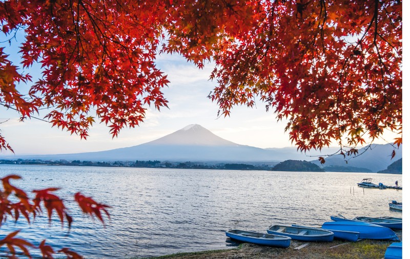 Japonia în culorile toamnei – o experiență de neuitat între tradiție și modernitate