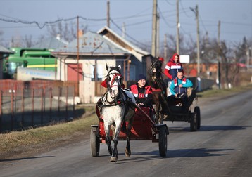 În faţa bisericii din Padina, gospodarii au început să-şi aducă armăsarii şi iepele (foto Dumitru Angelescu)