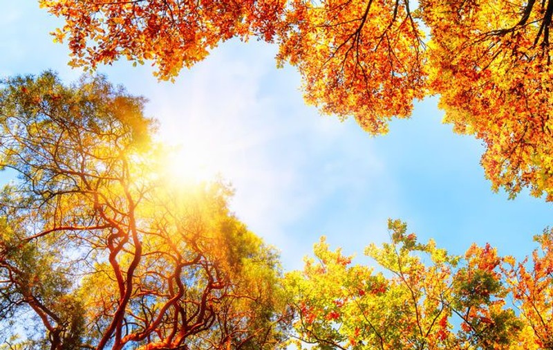 Prognoza meteo pentru perioada 9-22 septembrie. Când se va răci vremea
