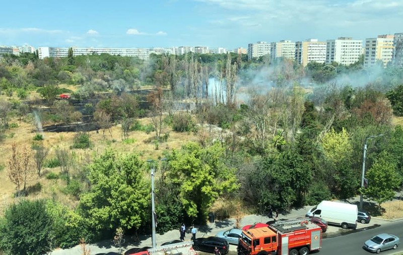 VIDEO | Incendiul de vegetație uscată din parcul IOR din București a fost stins după trei ore. Ce suprafață a fost afectată