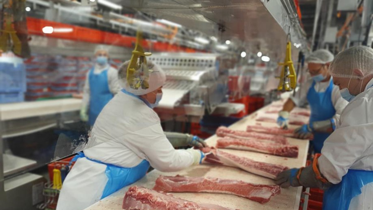 Arhiva foto