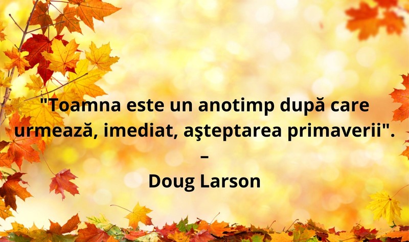 Mesaje și citate de toamnă
