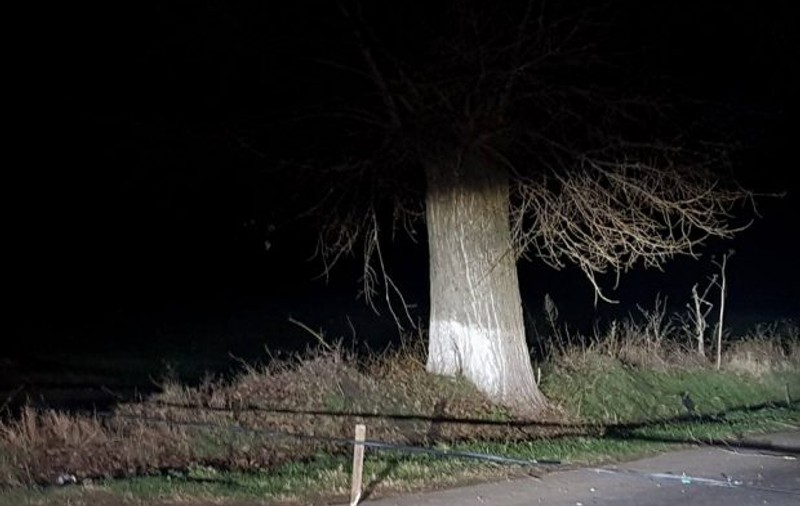 Drumul Judeţean 100 C este blocat de stâlpi căzuţi. Orașul Mizil a rămas fără curent electric