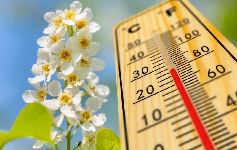 Cum va fi vremea în următoarele patru săptămâni, în România. Meteorologii au emis prognoza meteo