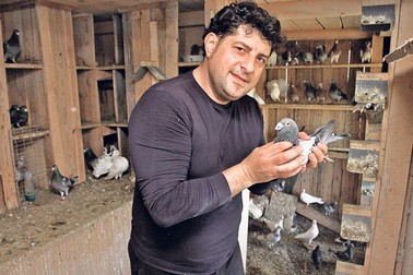 Arhiva foto