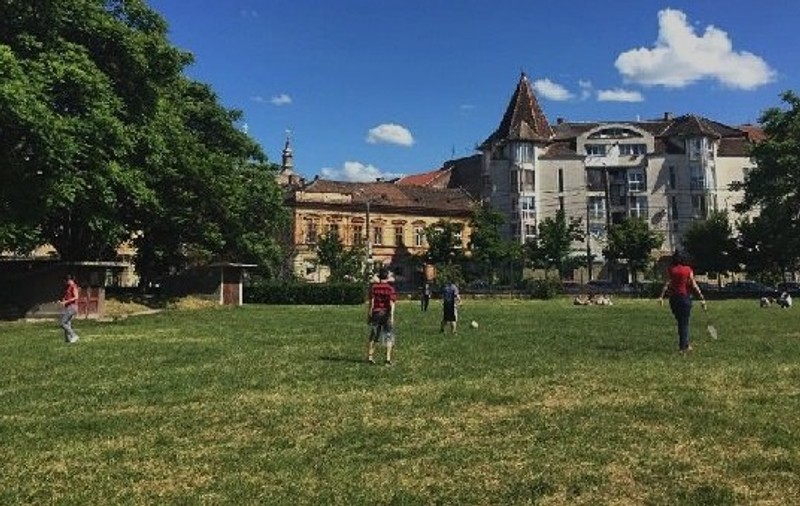 Bătaie cu perne la Timișoara, în Grădina Botanică. Ce trebuie să știe combatanții