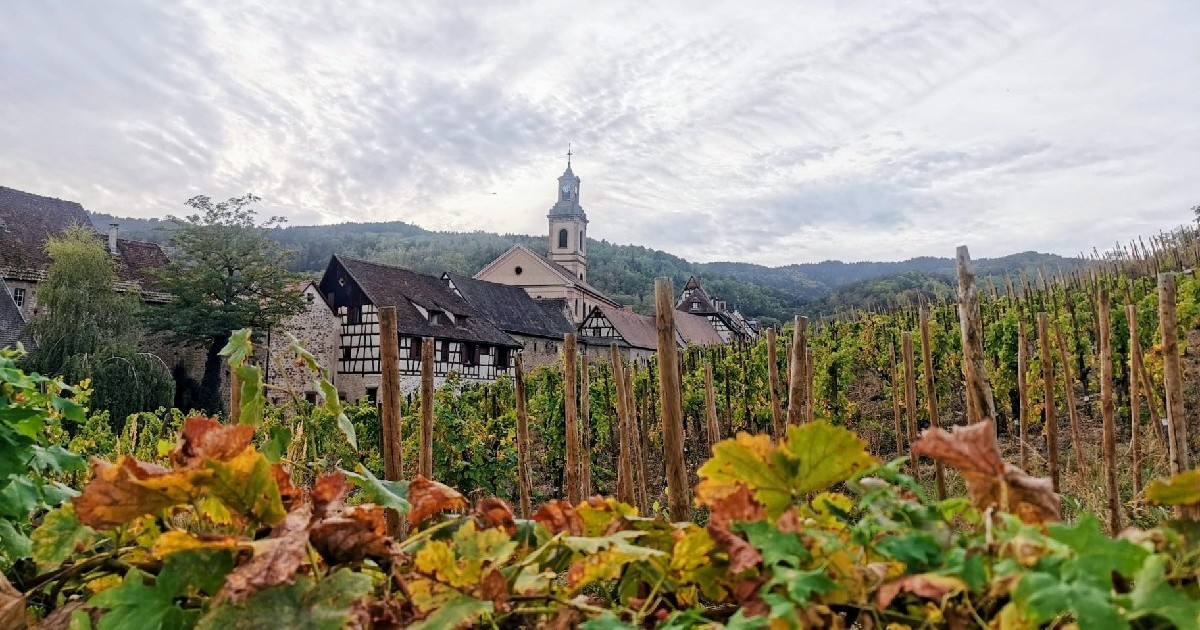 Viata de vie din satul Riquewihr, Franța
