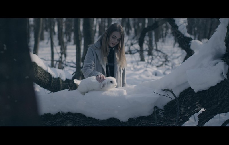 Premieră Libertatea.ro. Hawkweed lansează “Places (in my mind)” / VIDEO