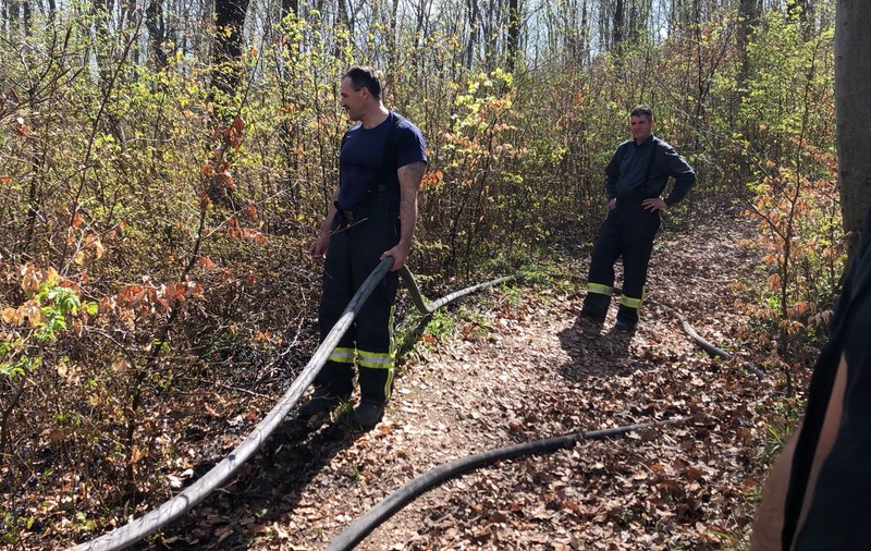 Incendiu de pădure la Răcădău, în Braşov. Au ars 500 de metri pătrați de lizieră/ FOTO