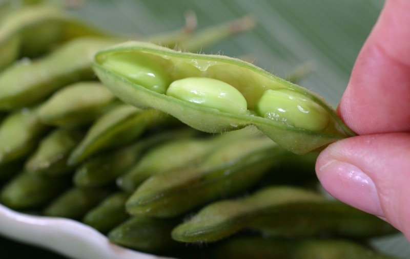 Soia, o minune pentru organism