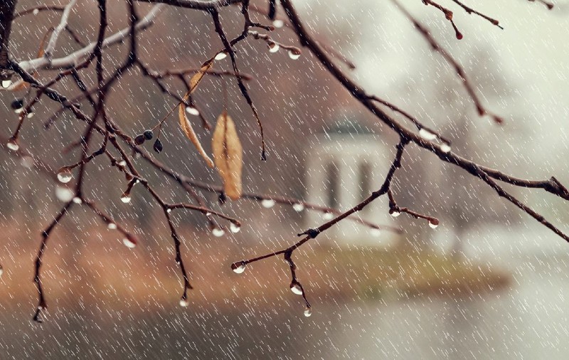 Vremea se încălzește câteva zile, apoi vine frigul. Prognoza meteo 24 noiembrie - 7 decembrie 2025