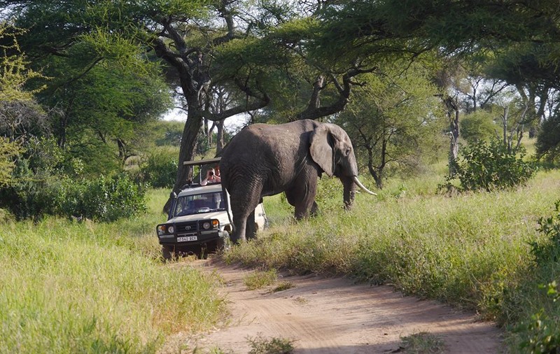 Un colaborator de-al lui Piţurcă îşi petrece vacanţa în Tanzania / GALERIE FOTO&VIDEO