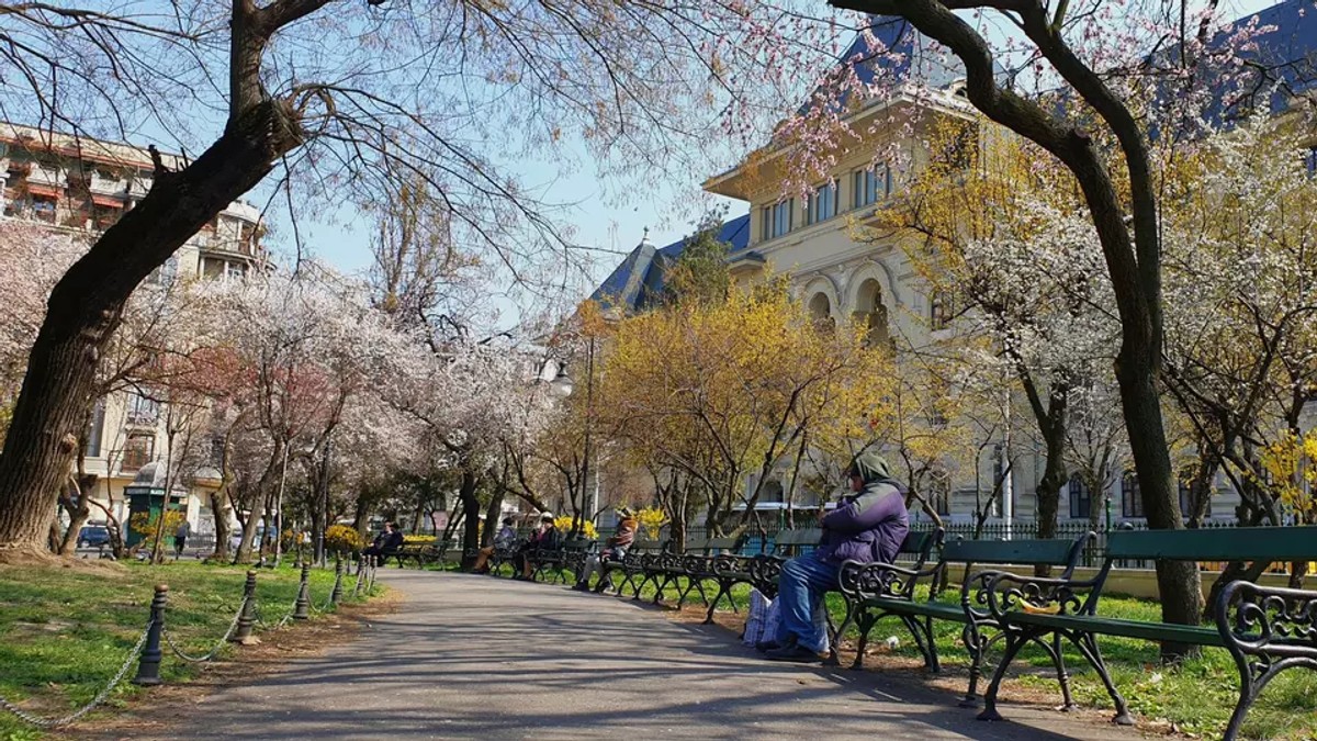 VIDEO Prognoza meteo pentru martie. Cum va fi vremea în prima lună de primăvară