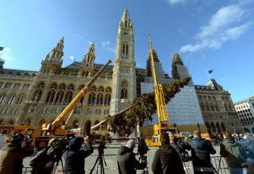 La Viena a fost montat bradul de Crăciun. Foto: Hepta