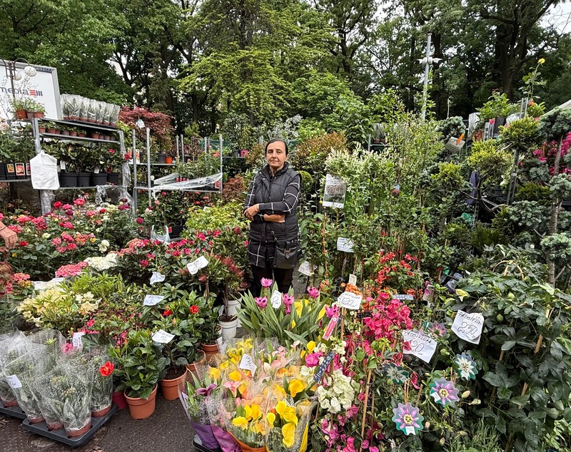 Explozie de flori și fructe exotice la Agronomie. Cât au plătit oamenii pentru „Mâna lui Buddha” „Banana Nordului” și smochinul mov