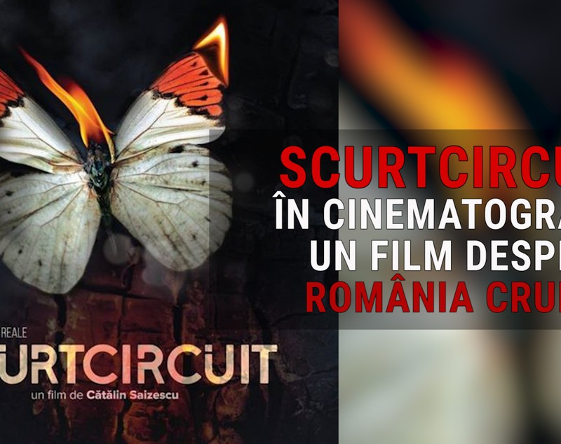 VIDEO/Magda Catone, declarații la Bruxelles despre filmul „Scurtcircuit”.”M-am identificat până la disperare cu acest caz”