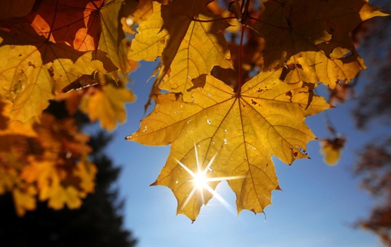 Vremea se va menţine frumoasă. Vezi ce temperaturi vor fi marţi şi miercuri!