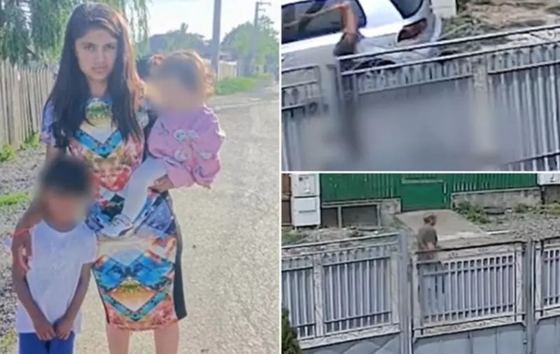 Bărbatul care şi-a ucis cu un topor partenera însărcinată a fost condamnat la închisoare pe viață