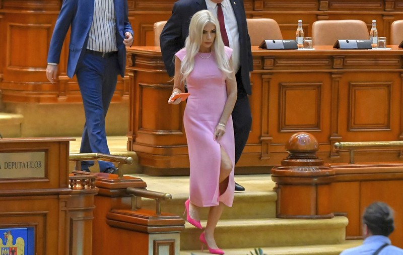 Cine este Laura Vicol, reținută de DIICOT în dosarul Nordis, unde prejudiciul este de 195 de milioane de euro