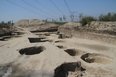 Arhiva foto