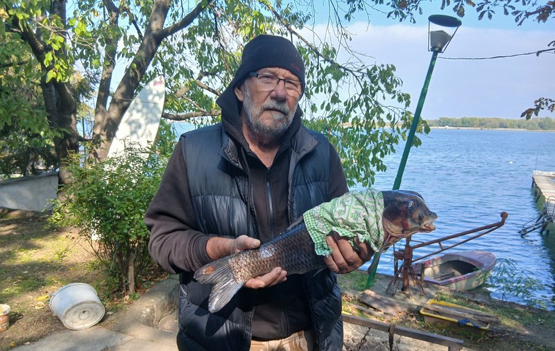 Pește mutant, prins în Dunăre, aproape de Calafat: „Nu am mai văzut așa ceva”