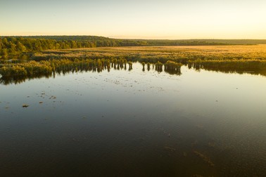Delta Neajlovului lângă București