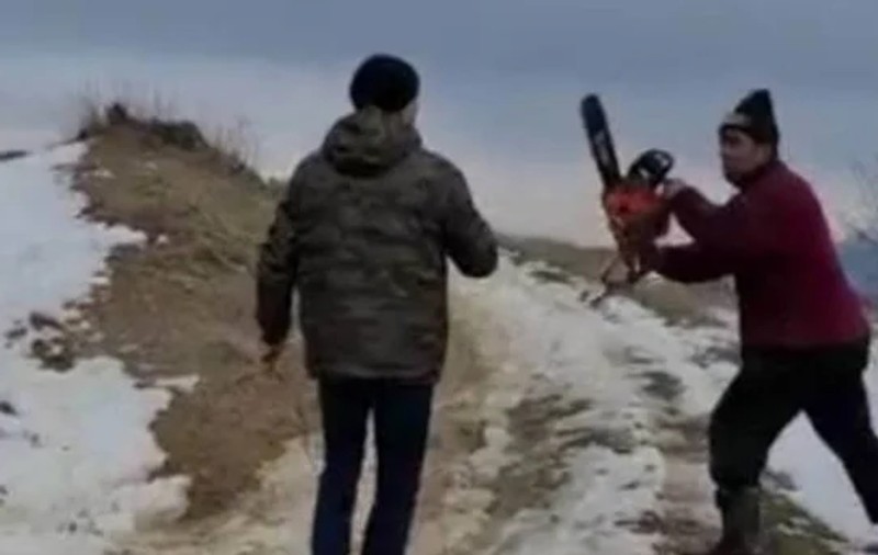 Pădurari atacați cu drujba și toporul de hoții de lemne, în Argeș. Poliția a sesizat Parchetul Câmpulung