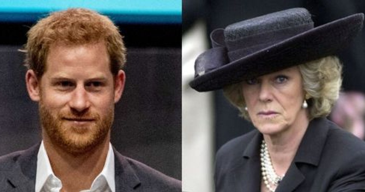 Prințul Harry o apără pe Camilla Parker: Nu este o mamă vitregă rea