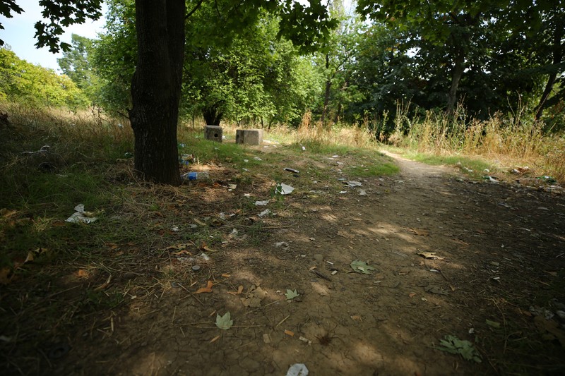 Parcul Grozăvești este neîngrijit, cu buruieni foarte înalte, alei crăpate