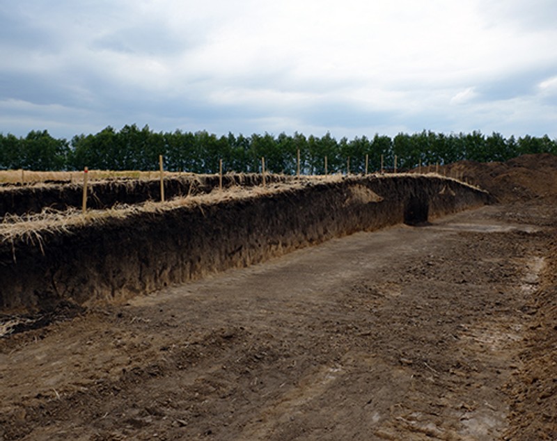 Descoperire arheologică unică în istorie. Ce se afla în mormântul a trei generații de amazoane