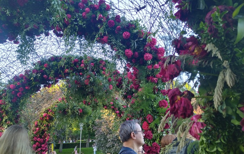 Parcul Drumul Taberei din București, transformat în univers floral literar. Grădina tematică aleasă de spectatori drept cea mai frumoasă