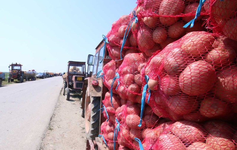 Ministrul agriculturii a dat asigurări că există stocuri suficiente de alimente, chiar dacă seceta a lovit Moldova și sudul țării