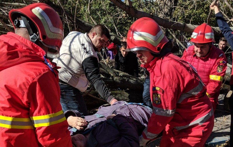 FOTO/ O bătrână din Craiova a fost rănită grav după ce un copac a căzut peste ea. Arborele a fost smuls din pământ de vântul puternic