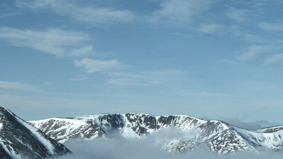 Arhiva foto